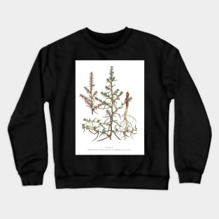 Russian Thistle Crewneck Sweatshirt